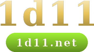 1d11 logo